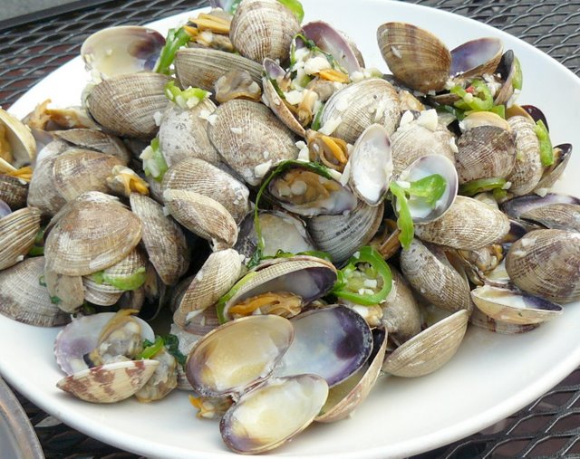 100 Clams for 100 Clams